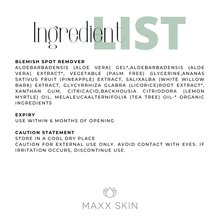 Load image into Gallery viewer, BLEMISH SPOT REMOVER